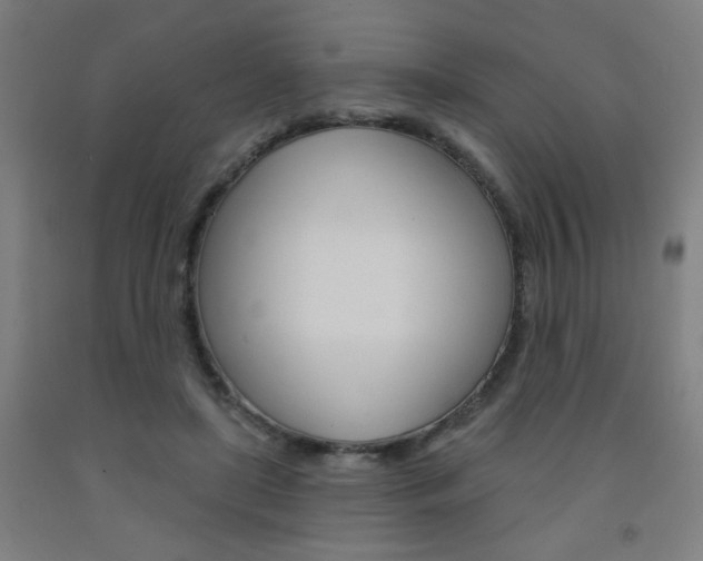 X0000093130451200709261039