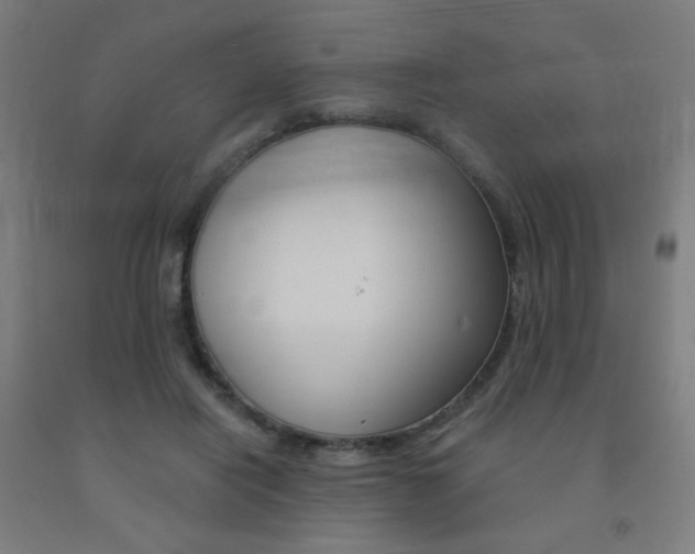 X0000093130454200709261039
