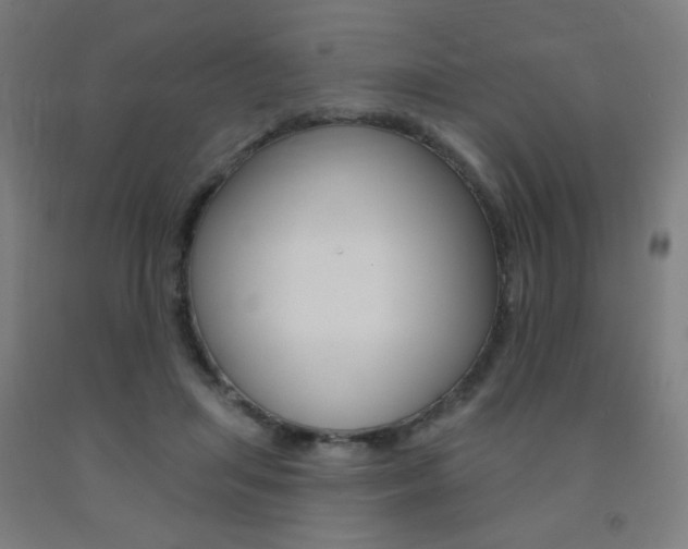X0000093130455200709261039