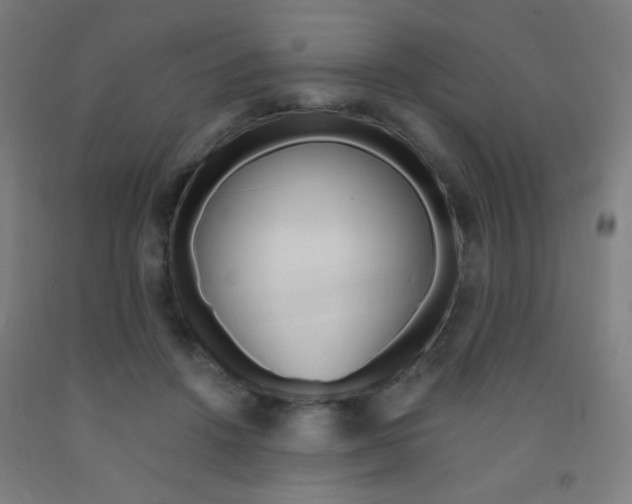X0000093130456200709261039