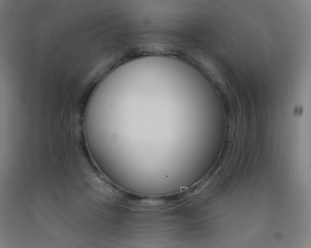 X0000093130457200709261039