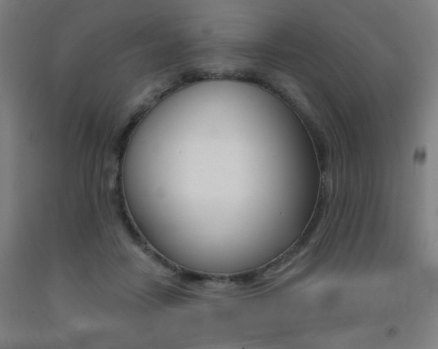 X0000093130458200709261039