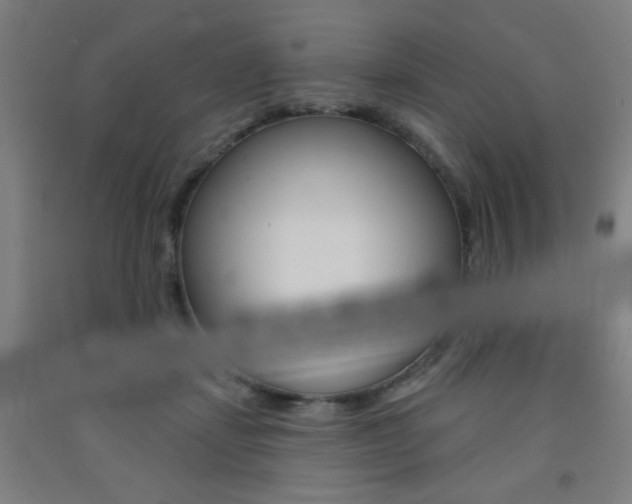 X0000093130459200709261039