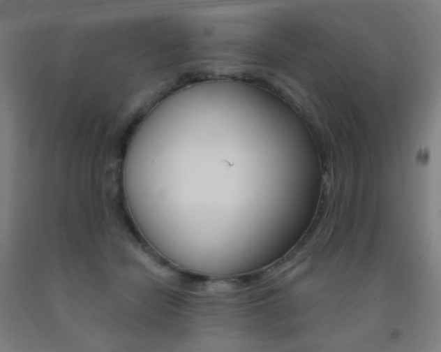 X0000093130462200709261039