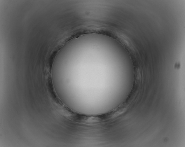 X0000093130463200709261039