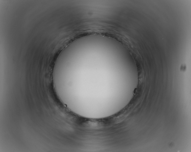 X0000093130464200709261039