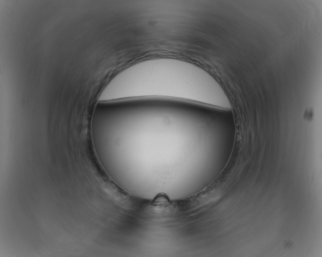 X0000093130466200709261040