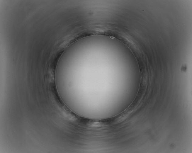 X0000093130467200709261040