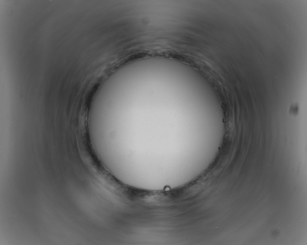 X0000093130468200709261040