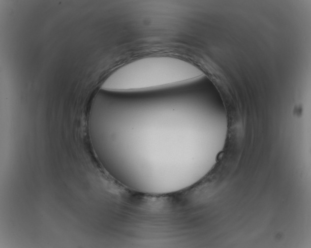X0000093130469200709261040