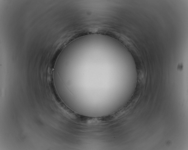 X0000093130470200709261040