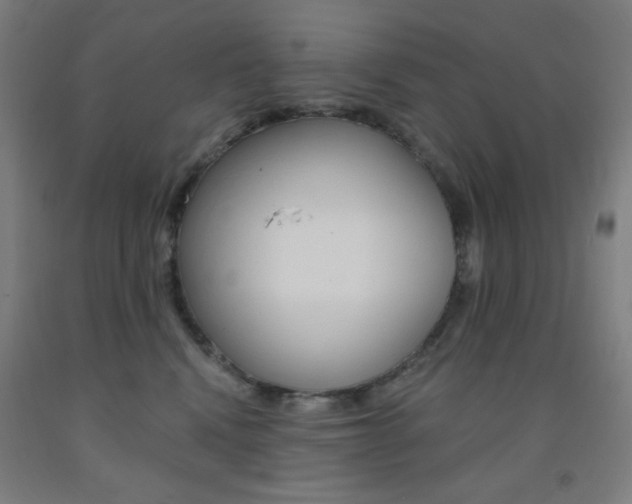 X0000093130472200709261040