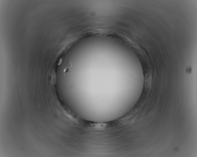 X0000093130474200709261040