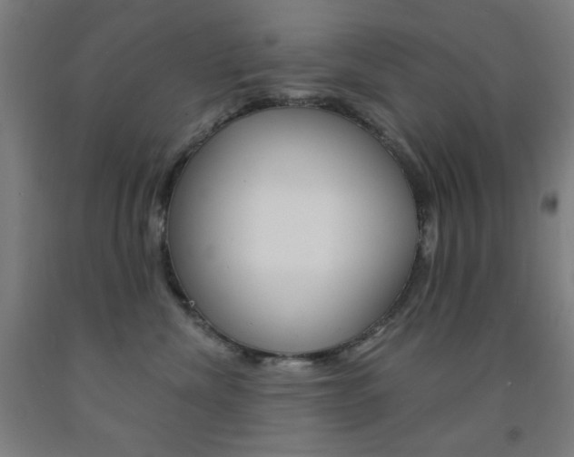X0000093130476200709261040