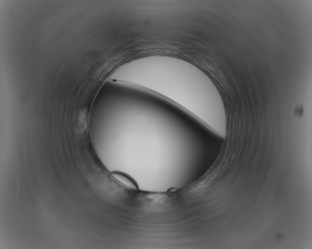X0000093130478200709261040