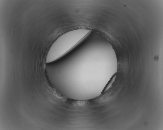 X0000093130479200709261040