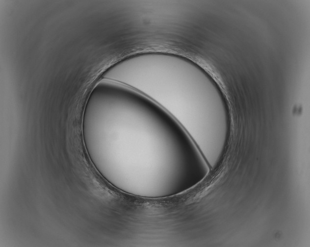 X0000093130481200709261039