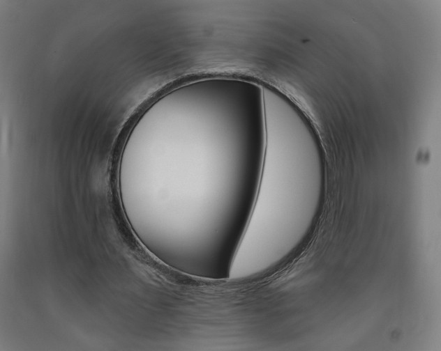 X0000093130483200709261039