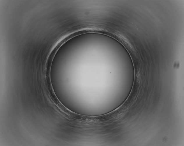 X0000093130484200709261039