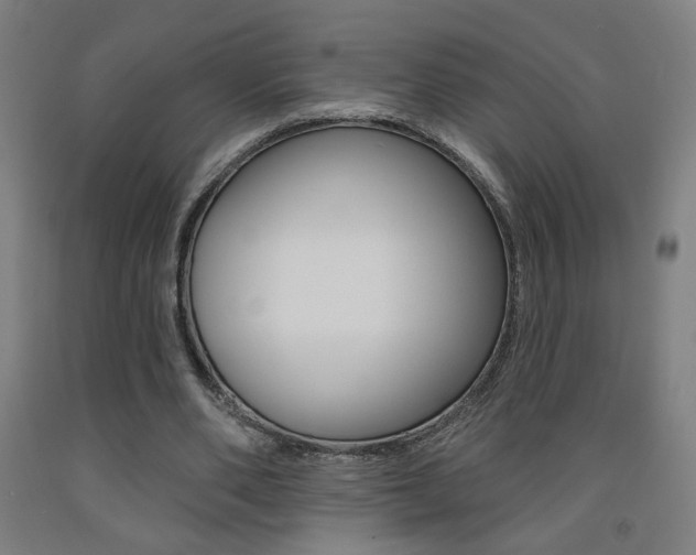 X0000093130486200709261039