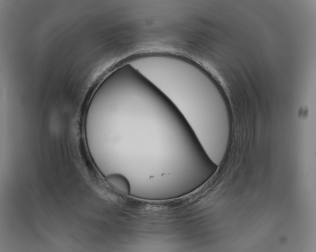 X0000093130487200709261039