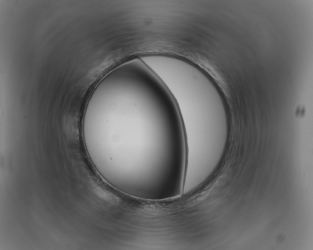 X0000093130489200709261039