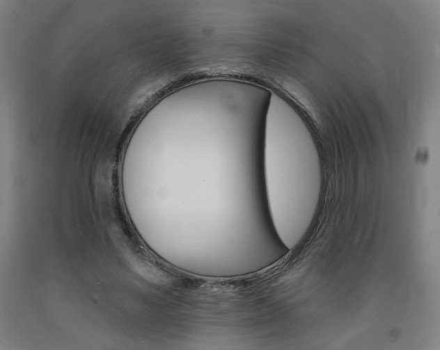 X0000093130491200709261039