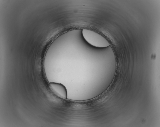 X0000093130494200709261039