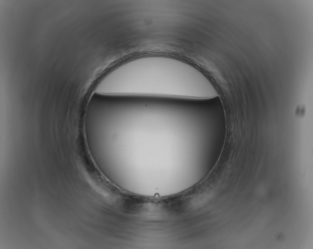 X0000093130496200709261039