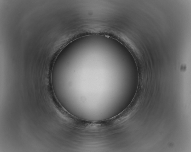 X0000093130497200709261039