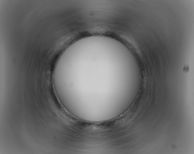 X0000093130498200709261039