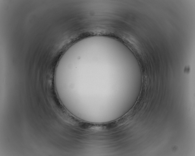 X0000093130499200709261039
