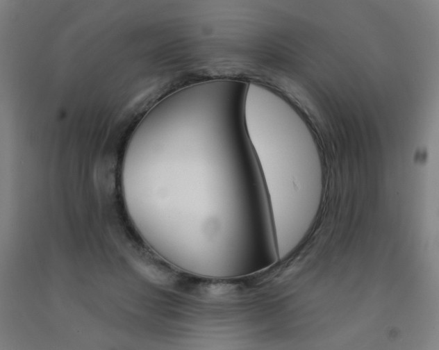 X0000093130501200709261038