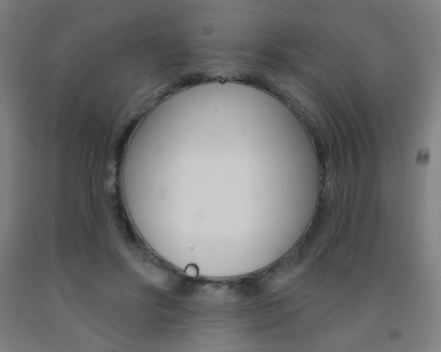 X0000093130502200709261038
