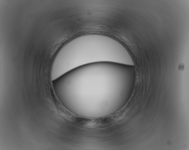 X0000093130504200709261038