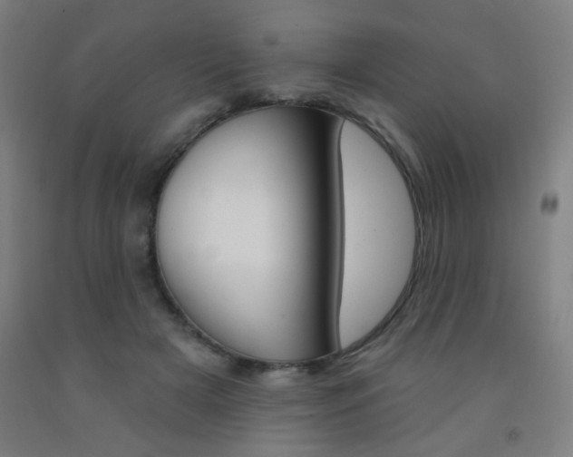 X0000093130505200709261038