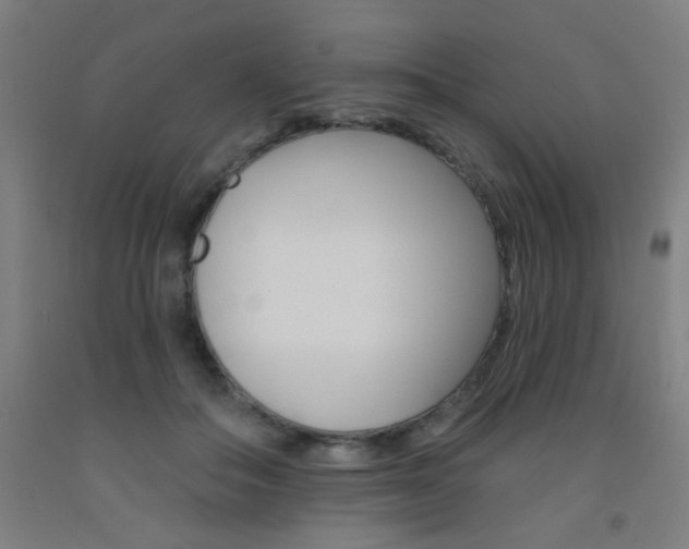 X0000093130506200709261038
