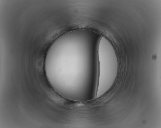 X0000093130509200709261038