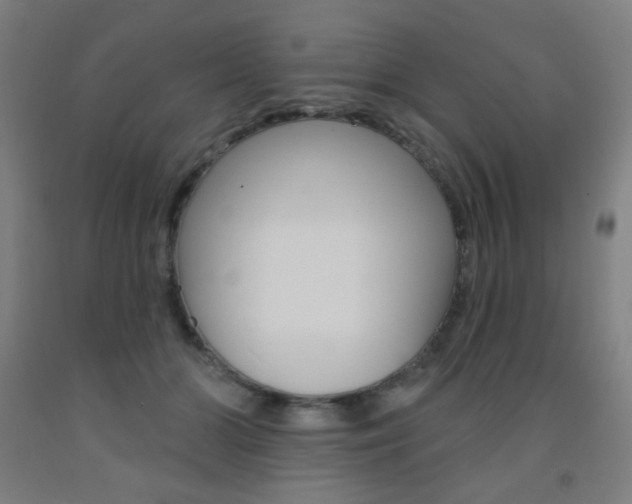 X0000093130510200709261038