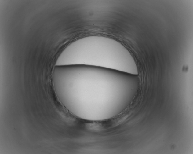 X0000093130511200709261038