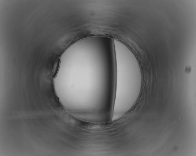 X0000093130513200709261038