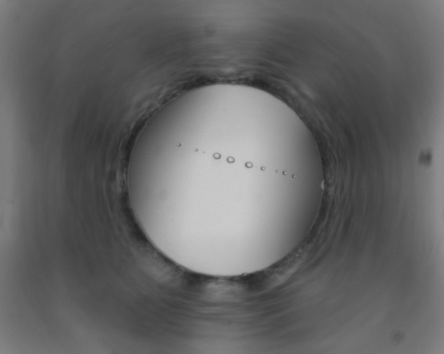 X0000093130515200709261038
