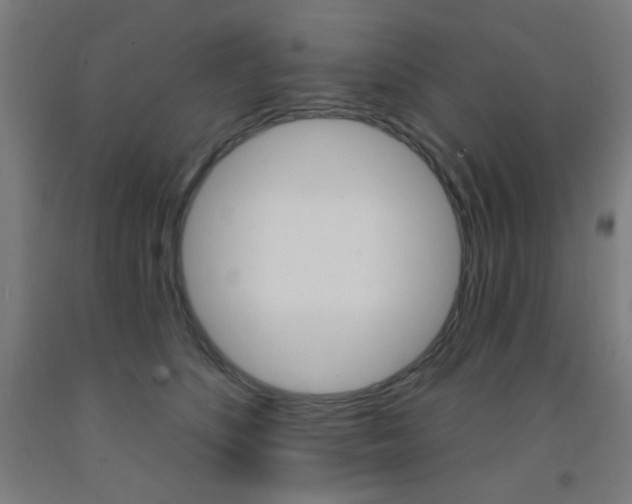 X0000093130516200709261038
