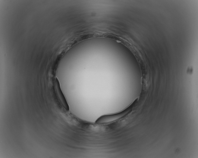 X0000093130520200709261038
