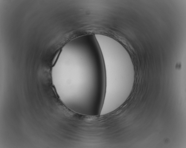 X0000093130521200709261038