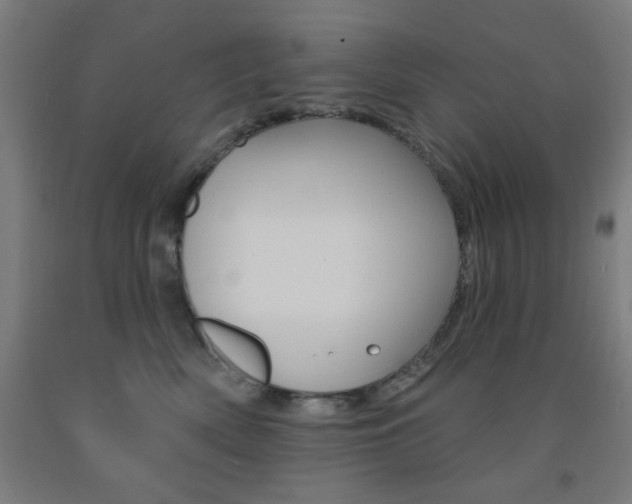 X0000093130522200709261038