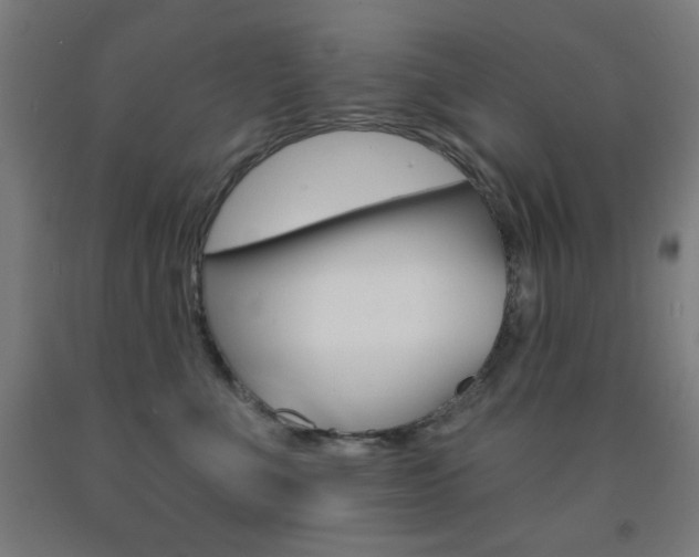 X0000093130523200709261038