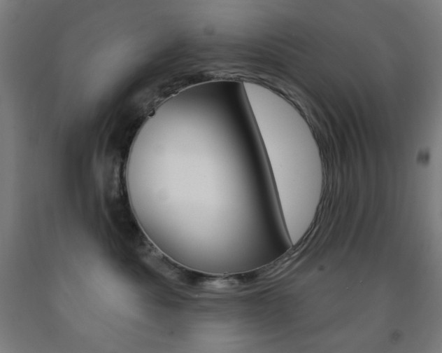 X0000093130525200709261038