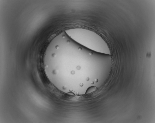 X0000093130527200709261038