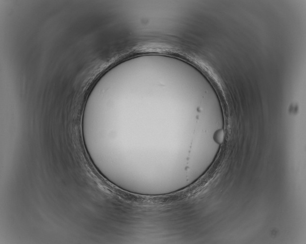 X0000093130529200709261037